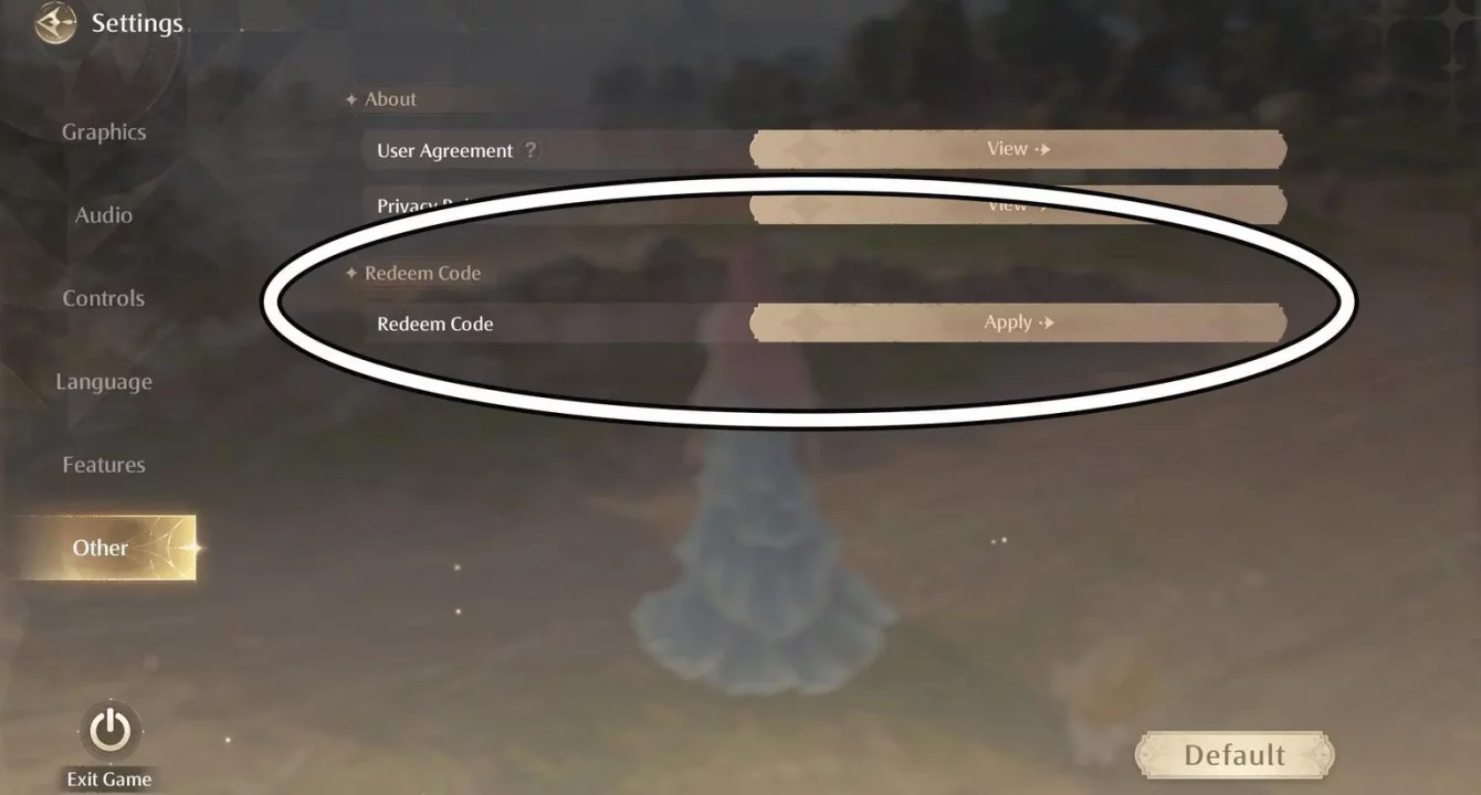 Как активировать коды infinity nikki 1