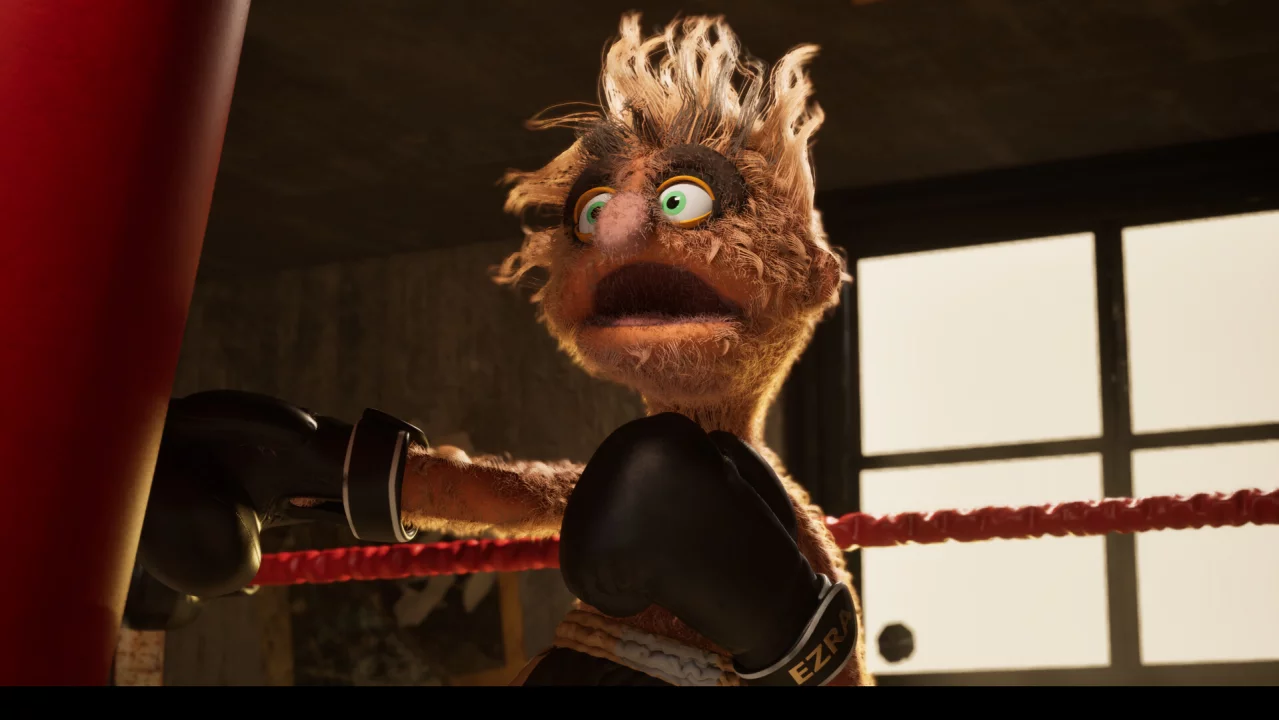 Felt that boxing