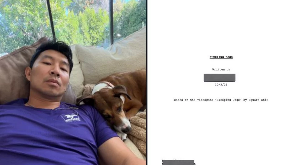 Сценарий фильма по sleeping dogs готов